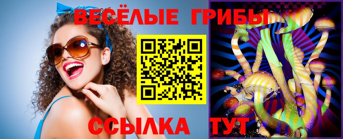 Псилоцибиновые грибы Cubensis Братск